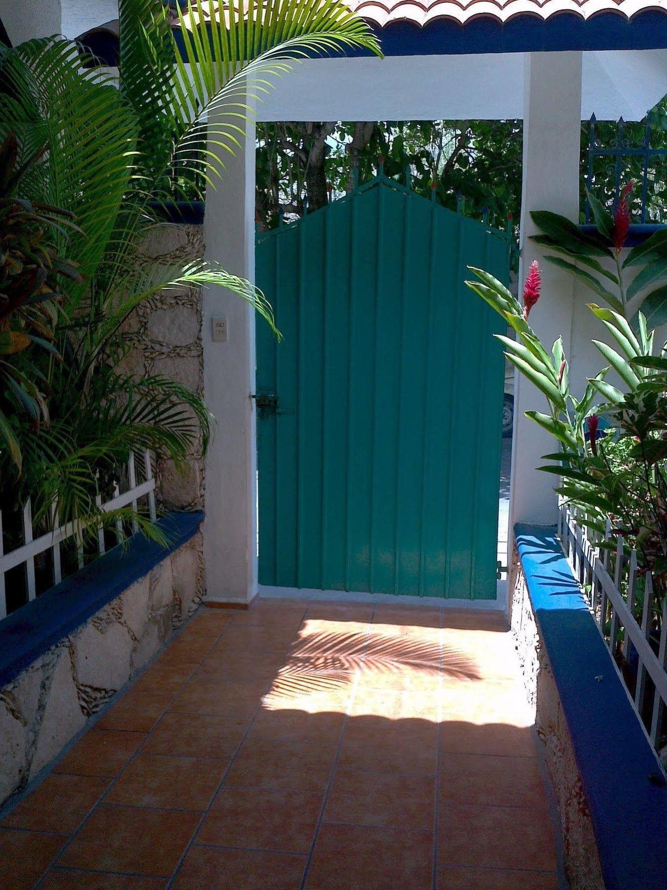 Alicia'S Bed & Breakfast Cozumel Exterior photo