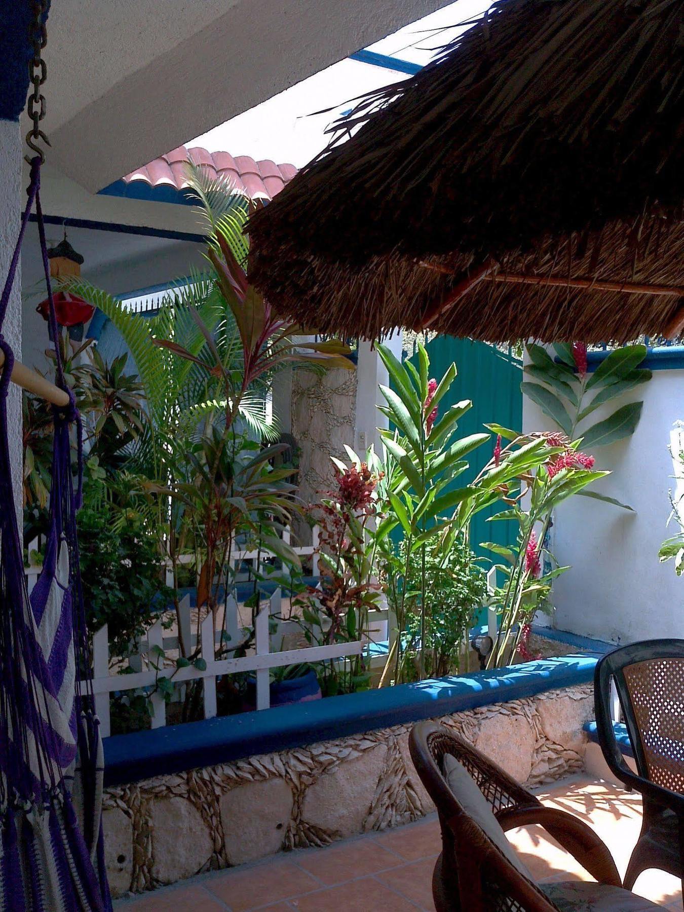 Alicia'S Bed & Breakfast Cozumel Exterior photo